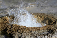 Aurum Geyser - Upper Geyser Basin
