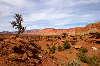 Panorama Point, Capitol Reef NP