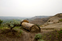 Caprock Coulee Trail overlooking the LIttle Missouri River