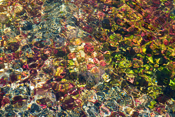 Submerged Plants, Big Springs, ID