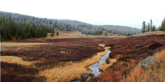 Grayling Creek - First Snow