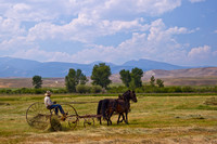 Haying at Grant Kohrs Ranch